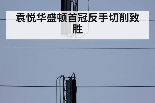 袁悦华盛顿首冠反手切削致胜